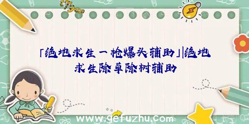 「绝地求生一枪爆头辅助」|绝地求生除草除树辅助